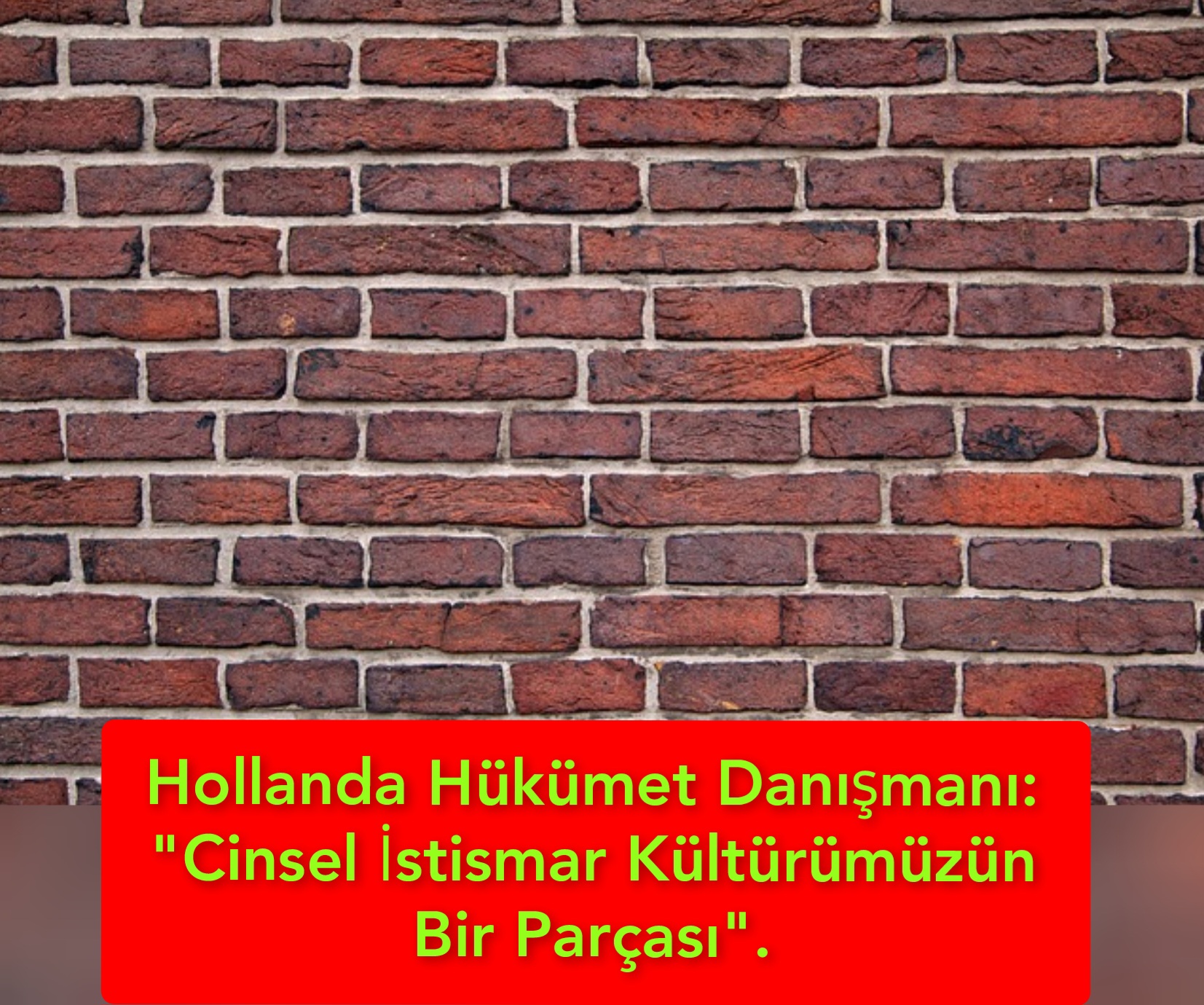 Hollanda Hükümet Danışmanı: “Cinsel İstismar Kültürümüzün Bir Parçası”.