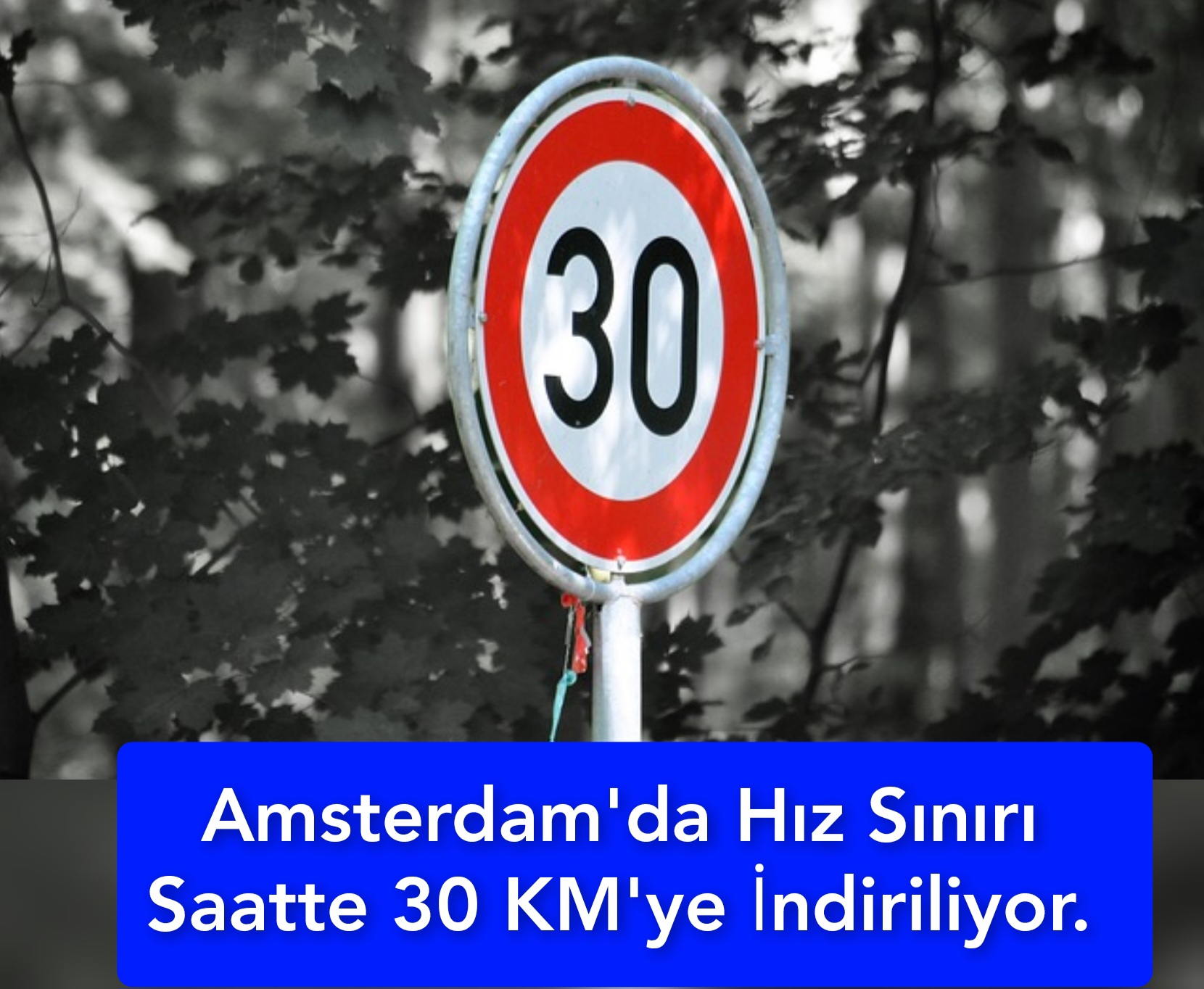 Amsterdam’da Hız Sınırı Saatte 30 KM’ye İndiriliyor. 