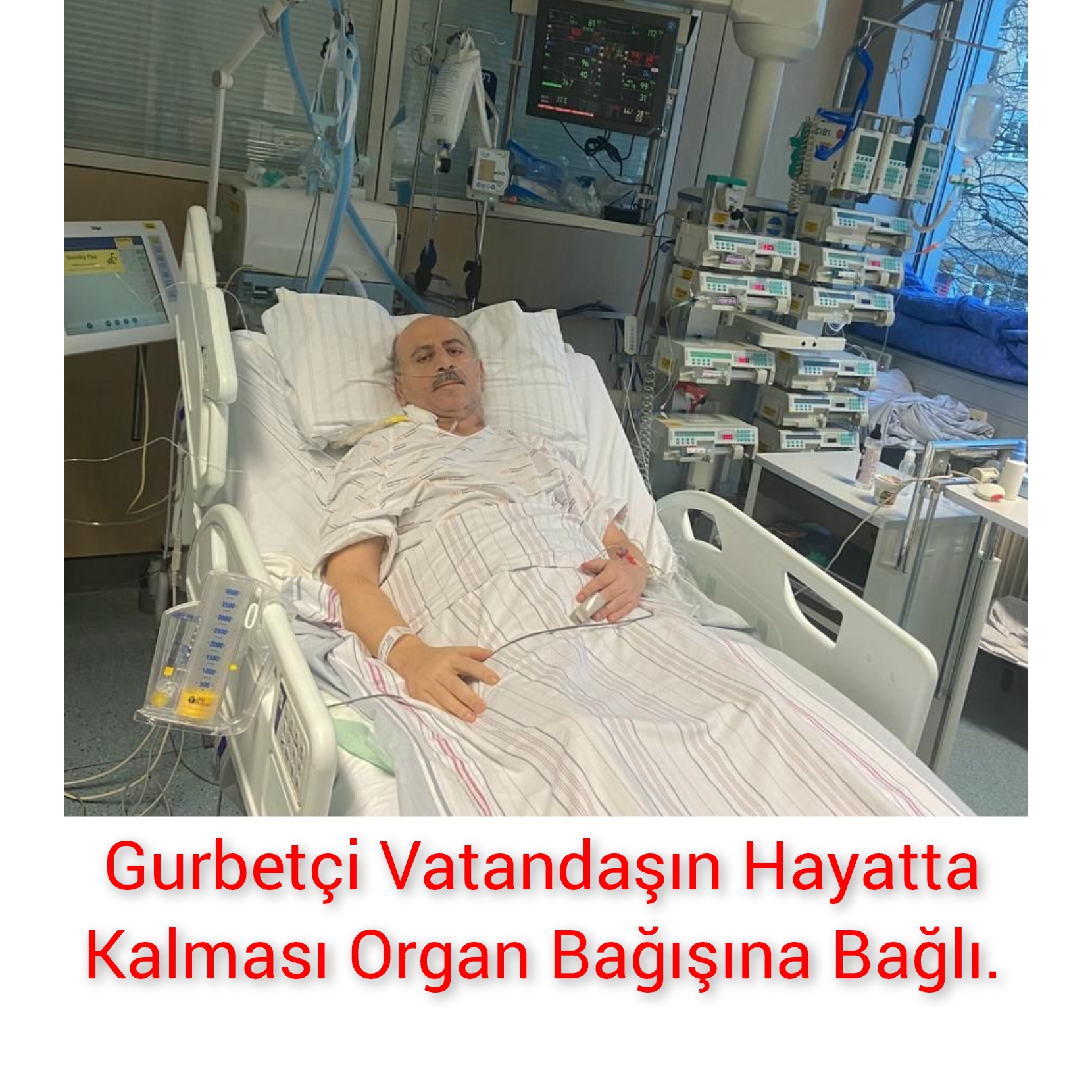 Gurbetçi Vatandaşın Hayatta Kalması Organ Bağışına Bağlı.