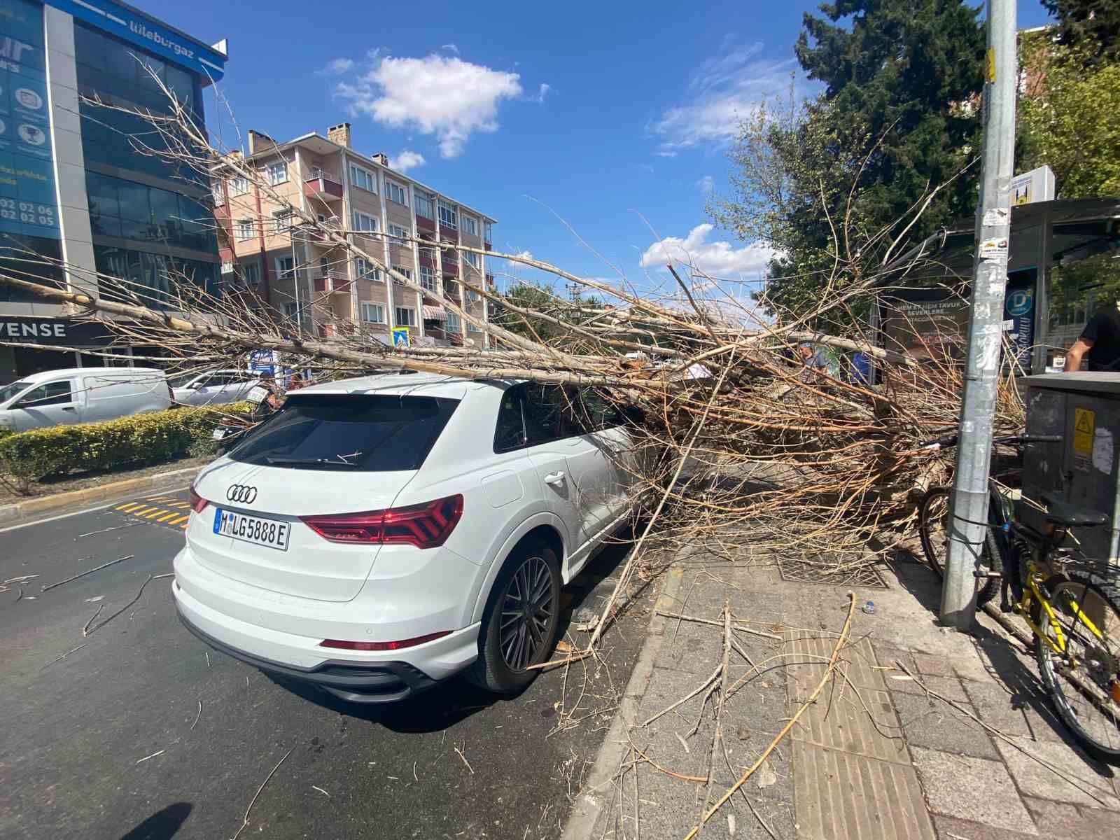 Gurbetçinin Otomobilinin Üzerine Ağaç Düştü.