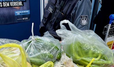 Türkiye’den Gelen Gurbetçilerin Bavullarında 29 Kilo Sebze,Meyve ve Peynir Tespit Edildi.