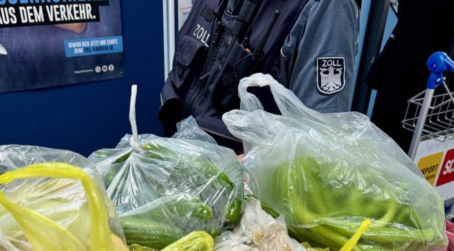 Türkiye’den Gelen Gurbetçilerin Bavullarında 29 Kilo Sebze,Meyve ve Peynir Tespit Edildi.