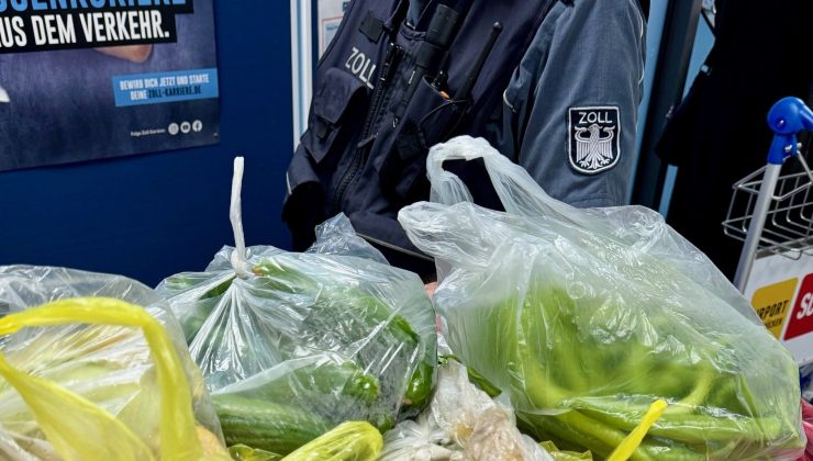 Türkiye’den Gelen Gurbetçilerin Bavullarında 29 Kilo Sebze,Meyve ve Peynir Tespit Edildi.