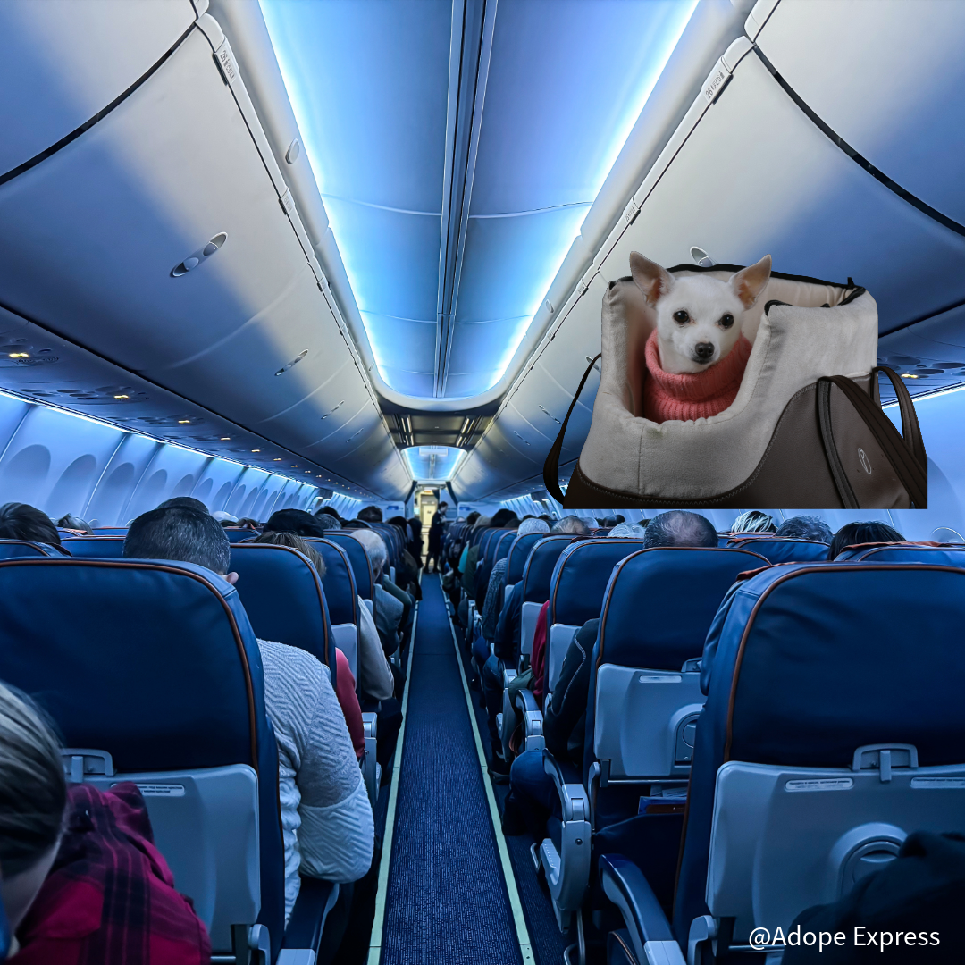 Jinsiy aloqa mmf poezd