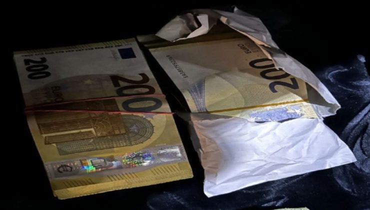Tükiye’den Gelen Sürücünün Beyan Etmediği 40 Bin Avroya El Konuldu.