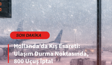 Hollanda’da Kış Esareti: Ulaşım Durma Noktasına Geldi, 800 Uçuş İptal Oldu.