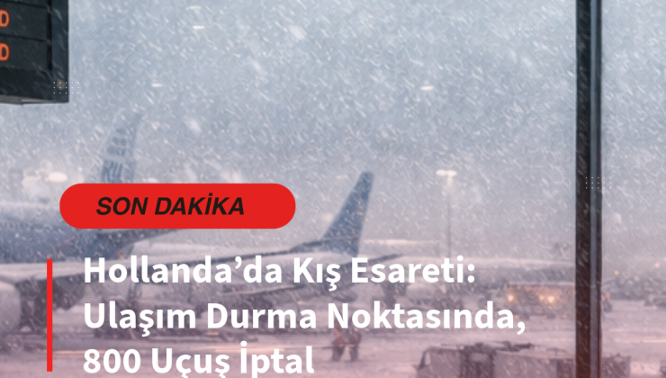 Hollanda’da Kış Esareti: Ulaşım Durma Noktasına Geldi, 800 Uçuş İptal Oldu.