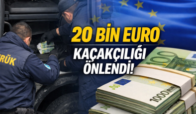 Sınır Kapısında Beraberindeki 20 Bin Avroyu Beyan Etmeyen Yolcuya 6 Bin 600 Avro Ceza Kesildi.
