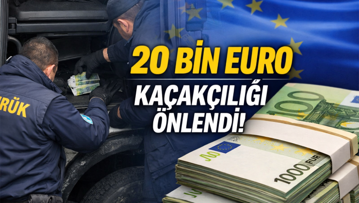 Sınır Kapısında Beraberindeki 20 Bin Avroyu Beyan Etmeyen Yolcuya 6 Bin 600 Avro Ceza Kesildi.