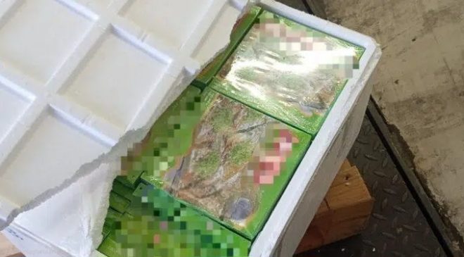 Sınır Kapısında Türkiye’den Gelen Bir Araçta 770 Kilo Katmer,Künefe ve Lokum Ele Geçirildi.