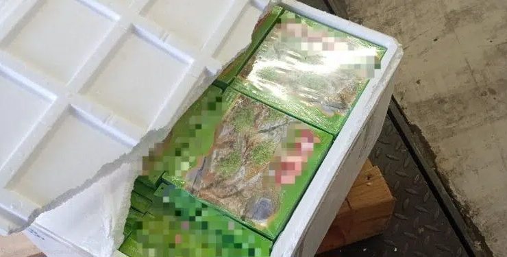 Sınır Kapısında Türkiye’den Gelen Bir Araçta 770 Kilo Katmer,Künefe ve Lokum Ele Geçirildi.