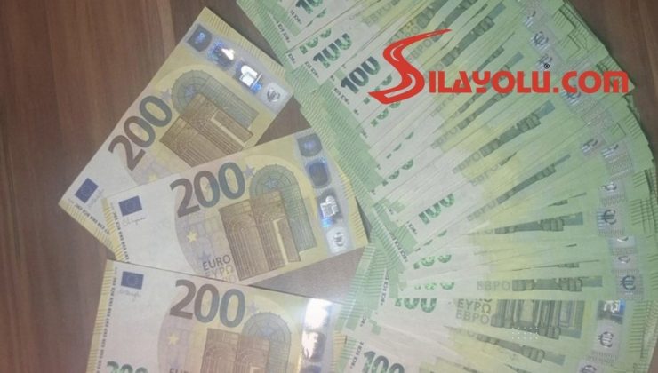 Sınır Kapısında Üzerindeki 14 Bin Avroyu Beyan Etmeyen Yolcuya 4 Bin Avro Ceza Yazıldı.