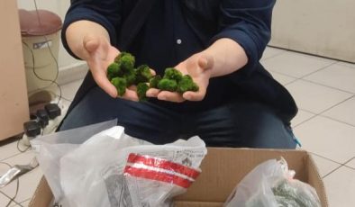 Kapıkule Sınır Kapısı’nda 5 Yolcuya 474 Bin Lira Para Cezası Kesildi.