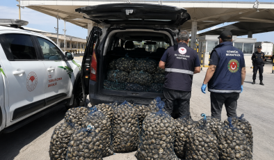Kapıkule’de Bir Araç Sürücüsüne 1 Milyon Lira Ceza Yazıldı.