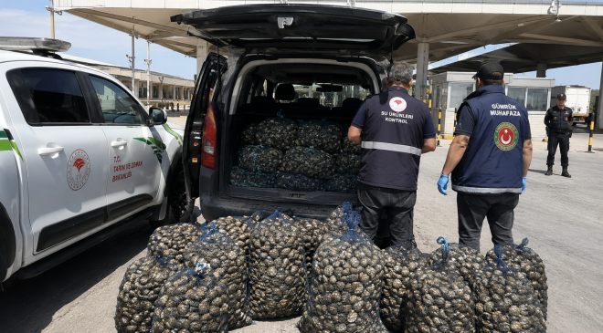 Kapıkule’de Bir Araç Sürücüsüne 1 Milyon Lira Ceza Yazıldı.