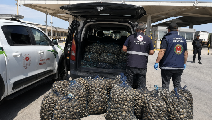 Kapıkule’de Bir Araç Sürücüsüne 1 Milyon Lira Ceza Yazıldı.