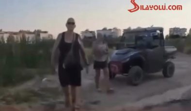 Alman Turist, Türkiye’de Çarparak Yaraladığı Köpeği Taşla Öldürdü.