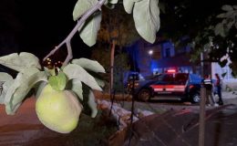 Samsun’da Ayva Dalı Tartışması Kanlı Bitti: Gurbetçi Vatandaş, Amcasını Öldürdü.