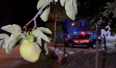 Samsun’da Ayva Dalı Tartışması Kanlı Bitti: Gurbetçi Vatandaş, Amcasını Öldürdü.