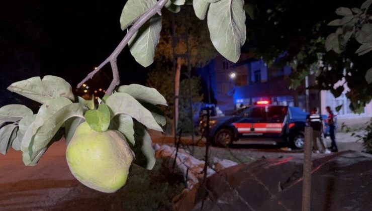 Samsun’da Ayva Dalı Tartışması Kanlı Bitti: Gurbetçi Vatandaş, Amcasını Öldürdü.