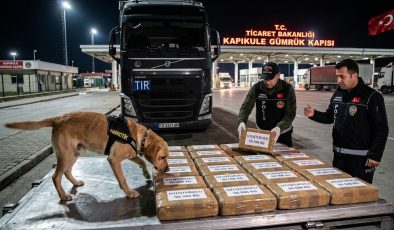 Kapıkule’de Büyük Uyuşturucu Operasyonu: Dedektör Köpek 50 Kilo Maddeyi Affetmedi!