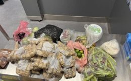 Gurbetçi vatandaşın valizlerinde 42 kilo sebze ve meyve tespit edildi