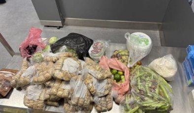 Gurbetçi vatandaşın valizlerinde 42 kilo sebze ve meyve tespit edildi