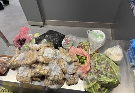 Gurbetçi vatandaşın valizlerinde 42 kilo sebze ve meyve tespit edildi