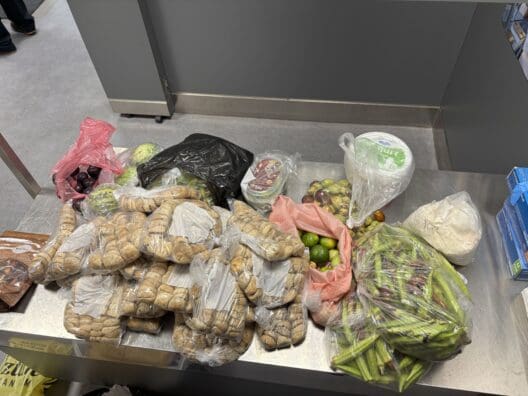 Gurbetçi vatandaşın valizlerinde 42 kilo sebze ve meyve tespit edildi
